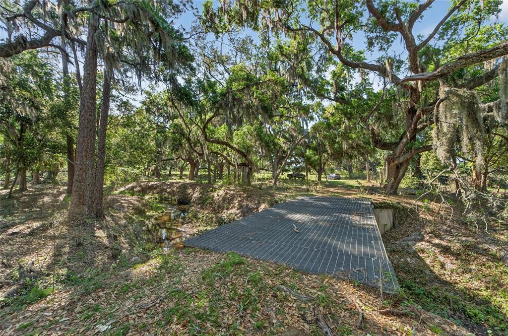 Carlton Road Dover, FL 33527 - Photo 26 of 63 a view of yard