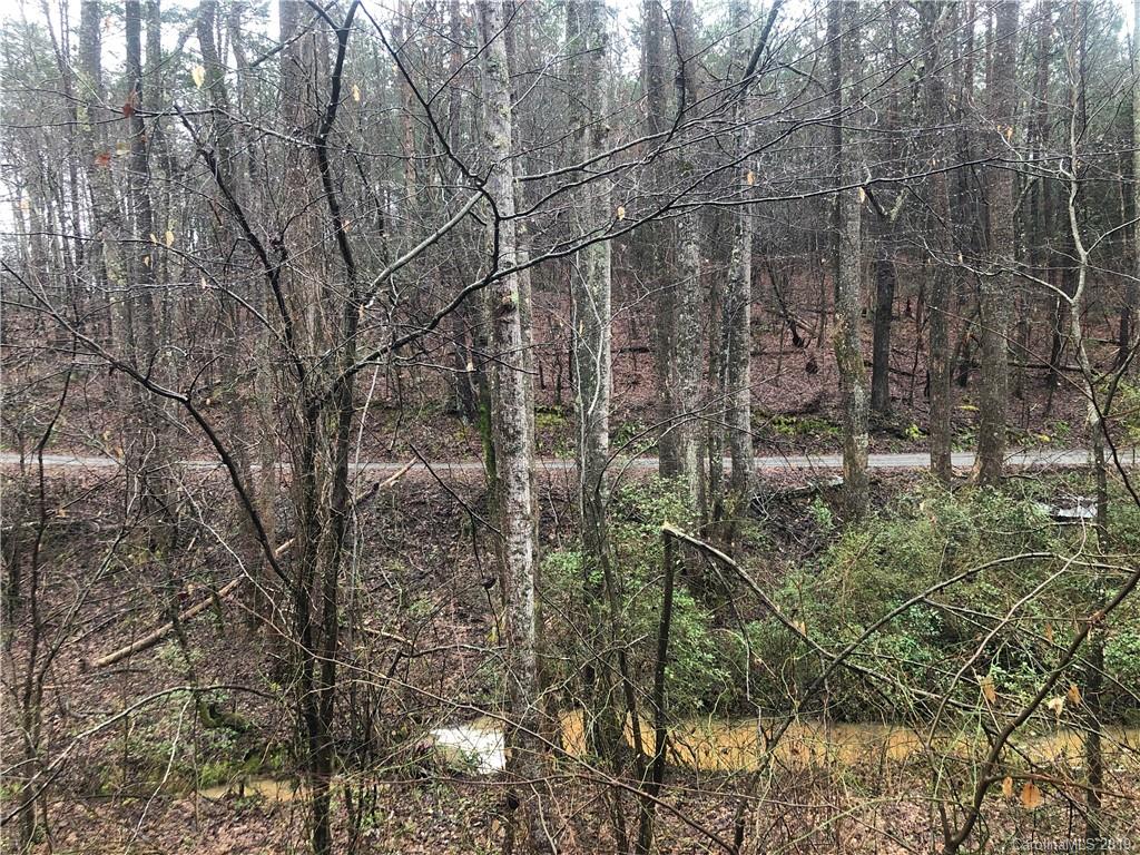 0 Harris Holly Springs Road Rutherfordton, NC 28139 - Photo 2 of 12 a view of a forest that has a tree