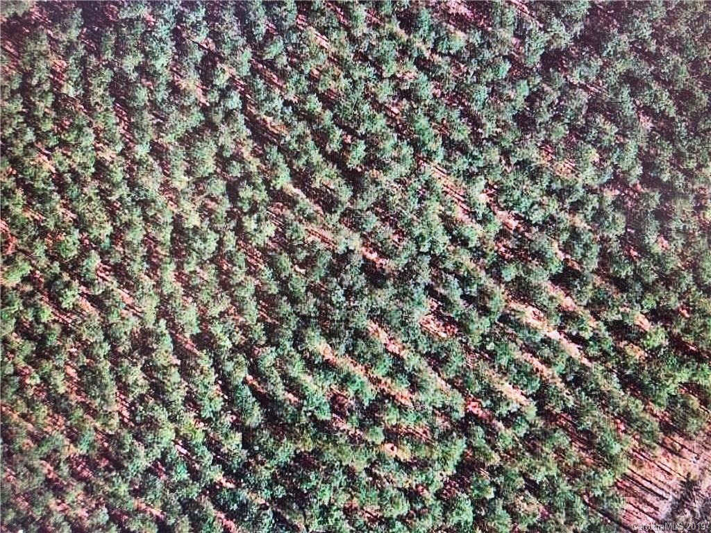 0 Harris Holly Springs Road Rutherfordton, NC 28139 - Photo 11 of 12 a view of a tree