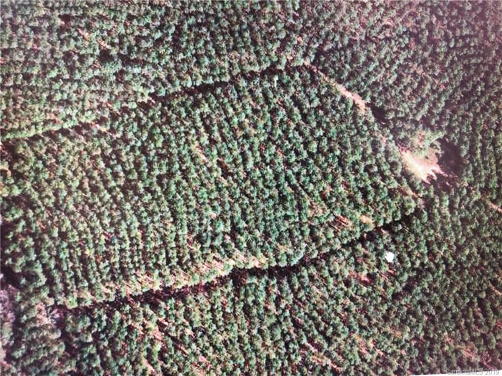 0 Harris Holly Springs Road Rutherfordton, NC 28139 - Photo 12 of 12