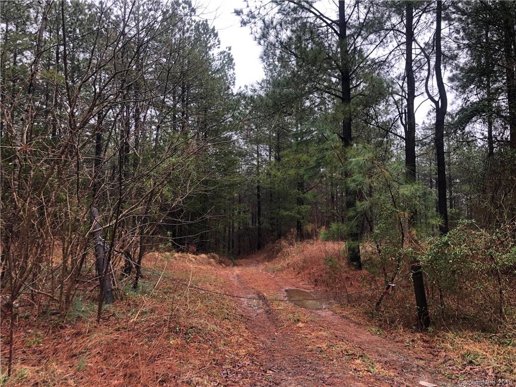 0 Harris Holly Springs Road Rutherfordton, NC 28139 - Photo 4 of 12 a view of a forest with trees