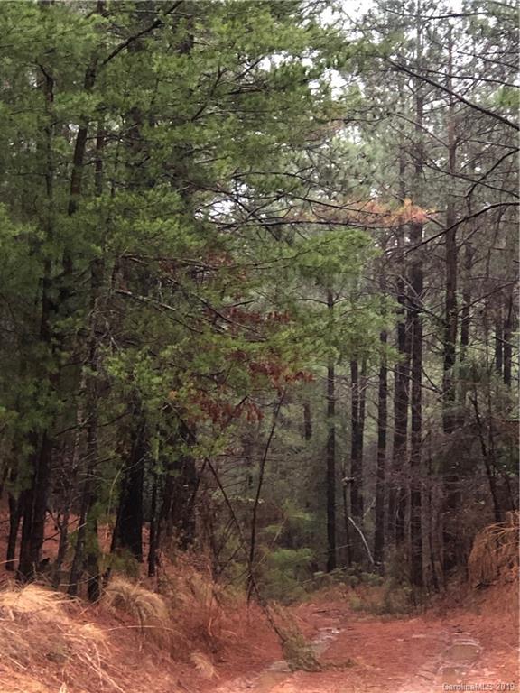 0 Harris Holly Springs Road Rutherfordton, NC 28139 - Photo 5 of 12 a view of a forest filled with trees