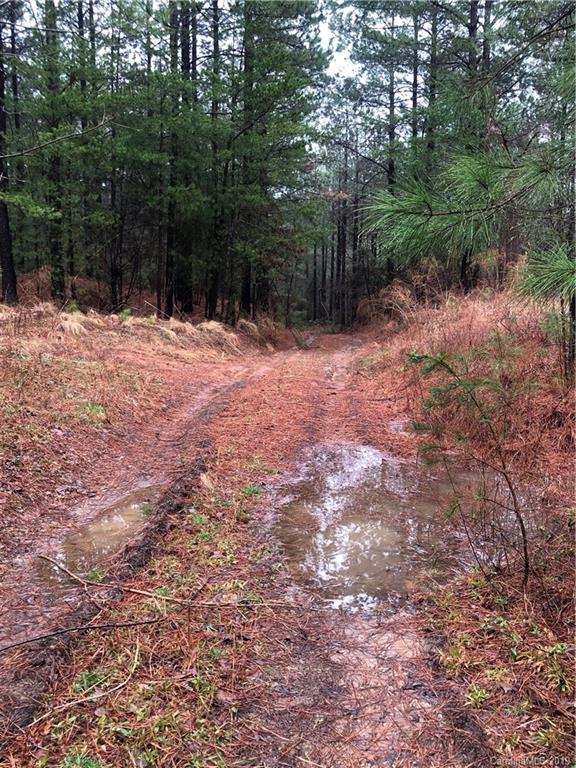 0 Harris Holly Springs Road Rutherfordton, NC 28139 - Photo 6 of 12 a backyard of a house with lots of green space