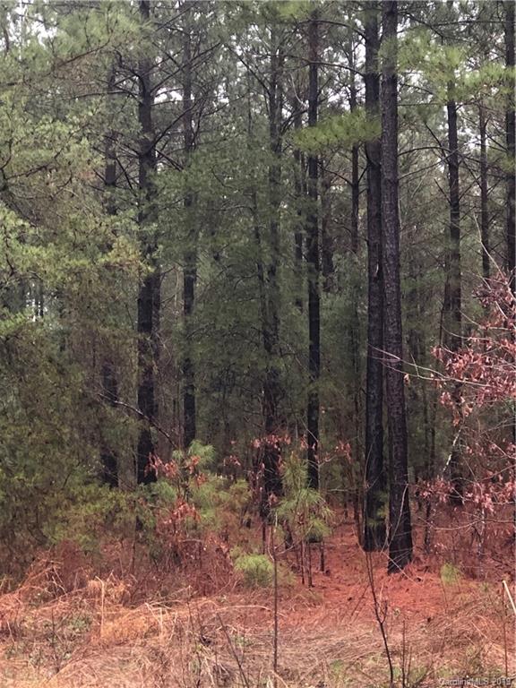 0 Harris Holly Springs Road Rutherfordton, NC 28139 - Photo 7 of 12 a view of a forest with a tree