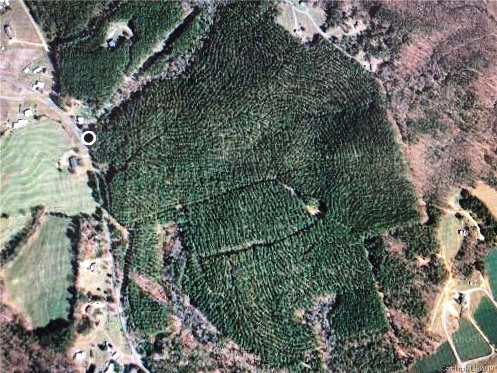 0 Harris Holly Springs Road Rutherfordton, NC 28139 - Photo 10 of 12