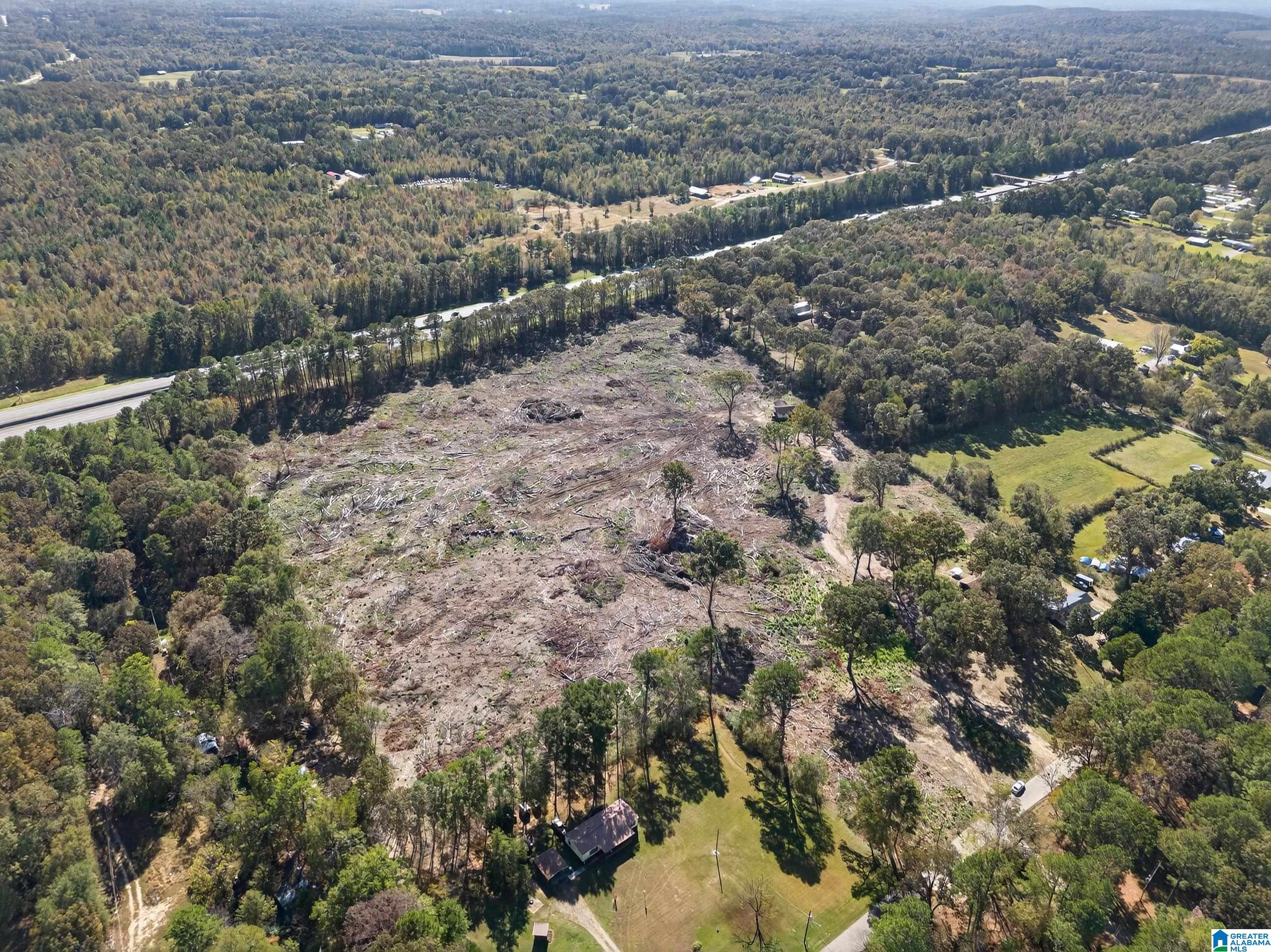 675 County Line Road West Eastaboga, AL 36260 - Photo 9 of 10
