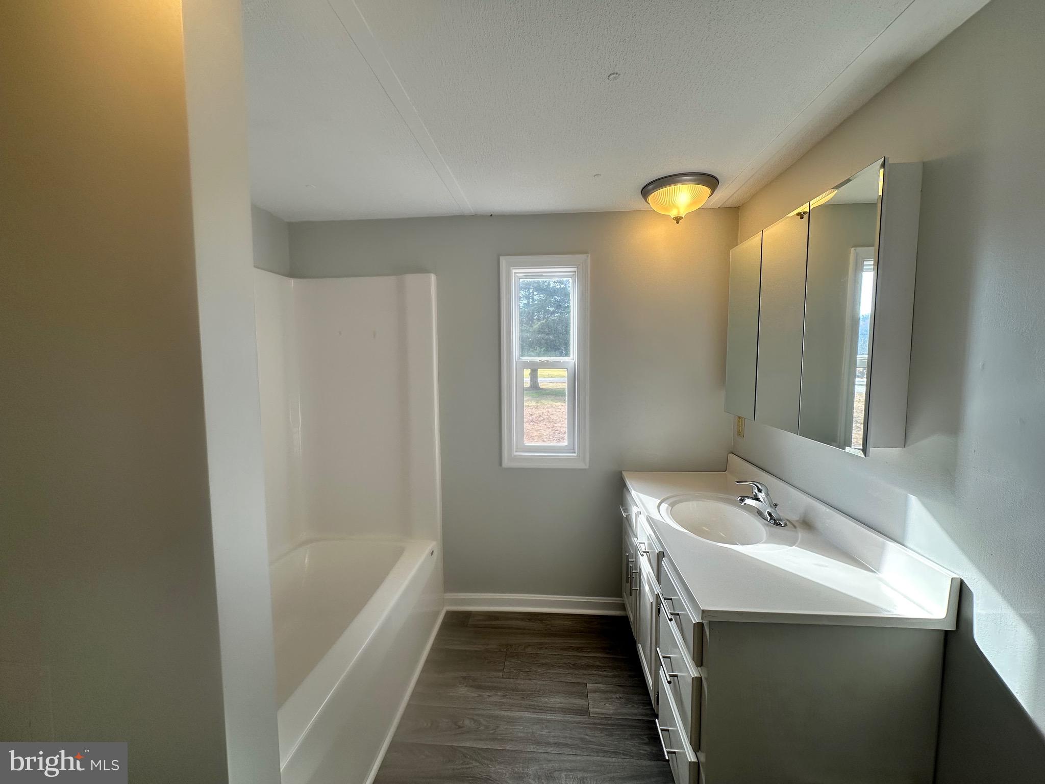 16335 Abbotts Pond Road Milford, DE 19963 - Photo 16 of 18 a bathroom with a sink a mirror and a bathtub