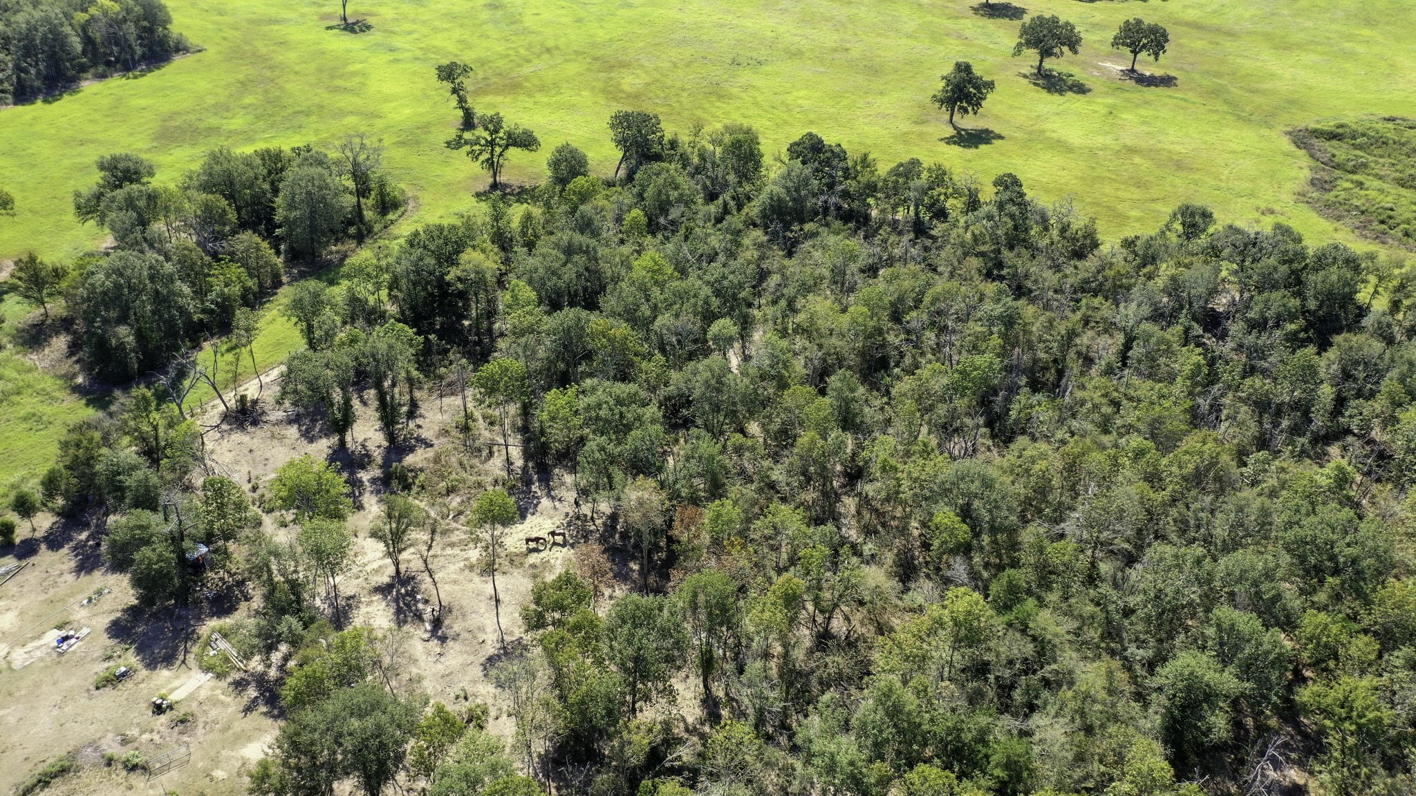 9486 Puddin Lane Madisonville, TX 77864 - Photo 15 of 16 a view of a houses of a yard