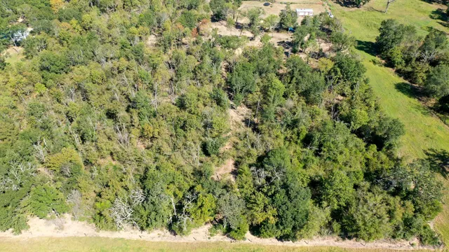 $199,000 | 9486 Puddin Lane, Madisonville, TX 77864