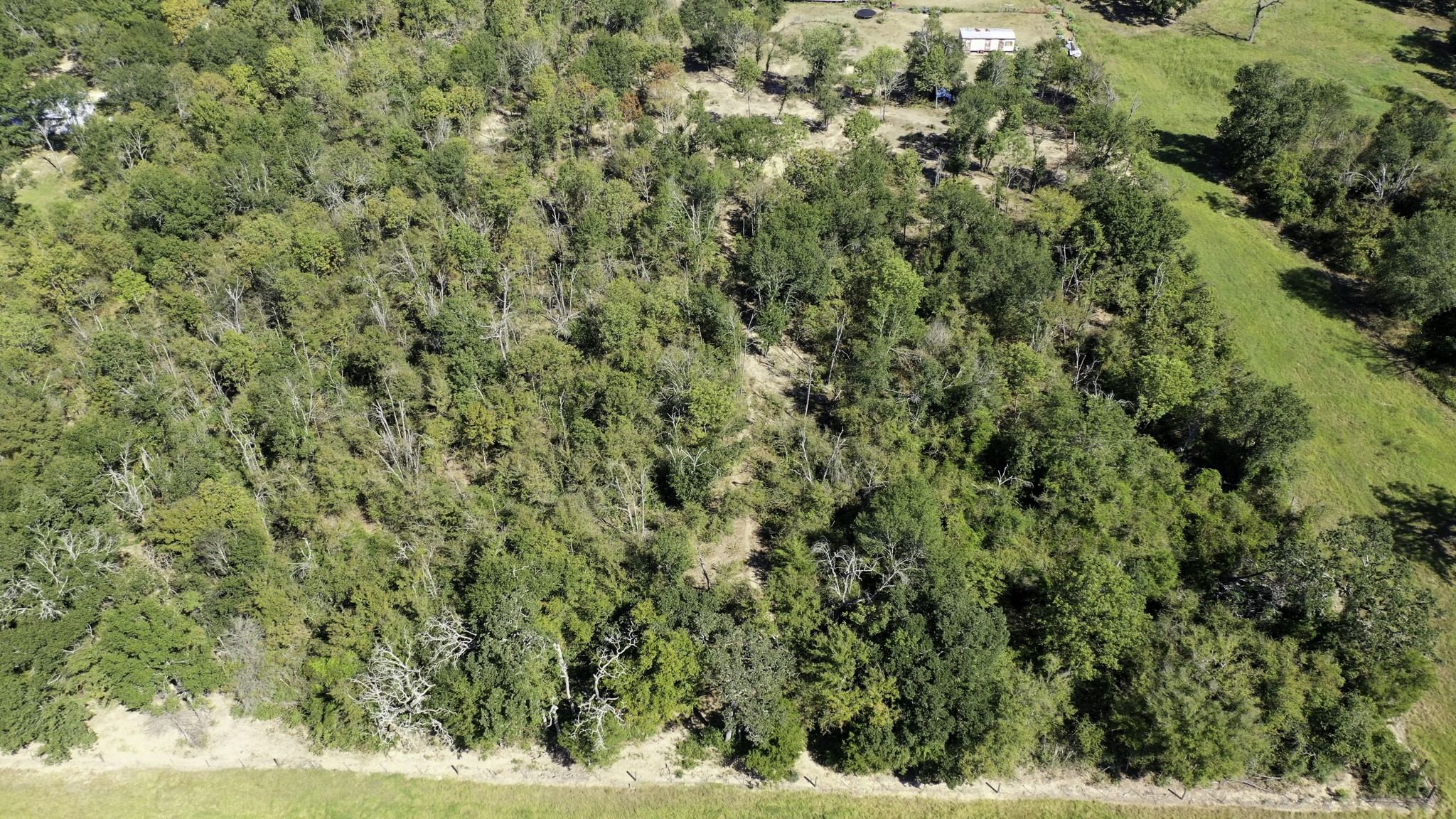 9486 Puddin Lane Madisonville, TX 77864 - Photo 16 of 16 a view of a yard