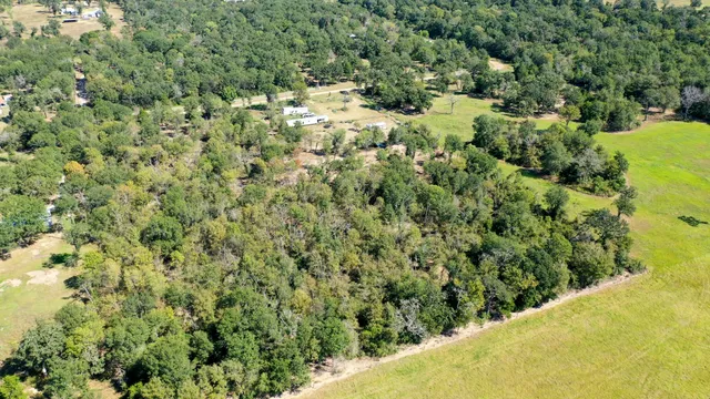 a view of a large yard with lots of green space