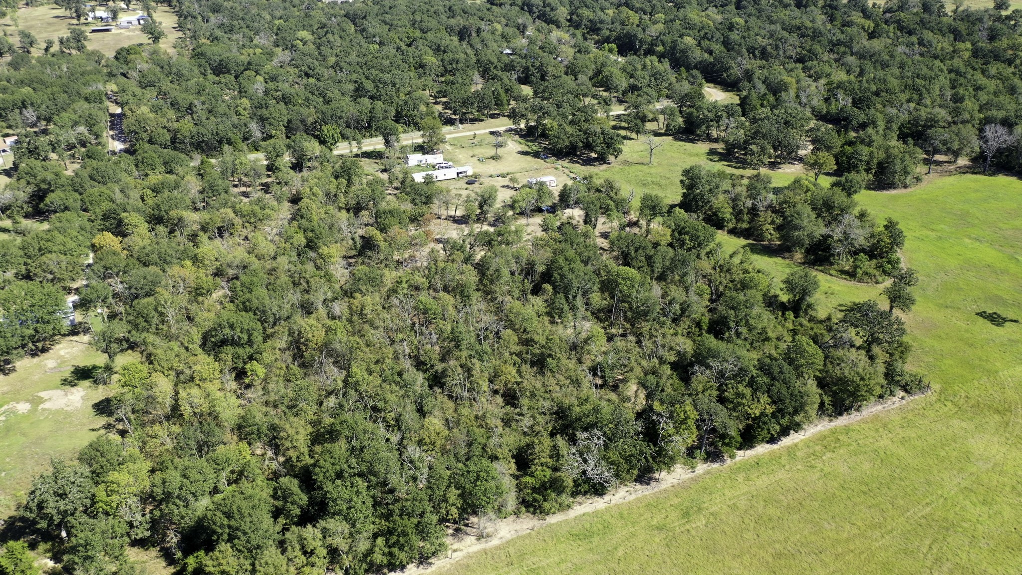 9486 Puddin Lane Madisonville, TX 77864 - Photo 4 of 16 a view of a large yard with lots of green space