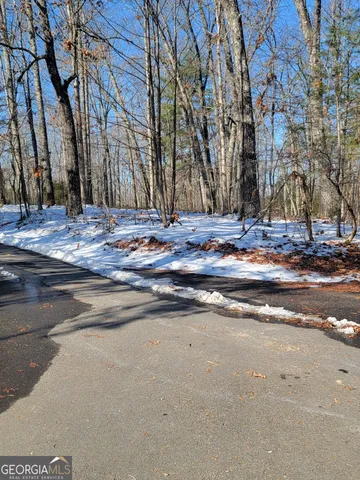 a view of street with large trees