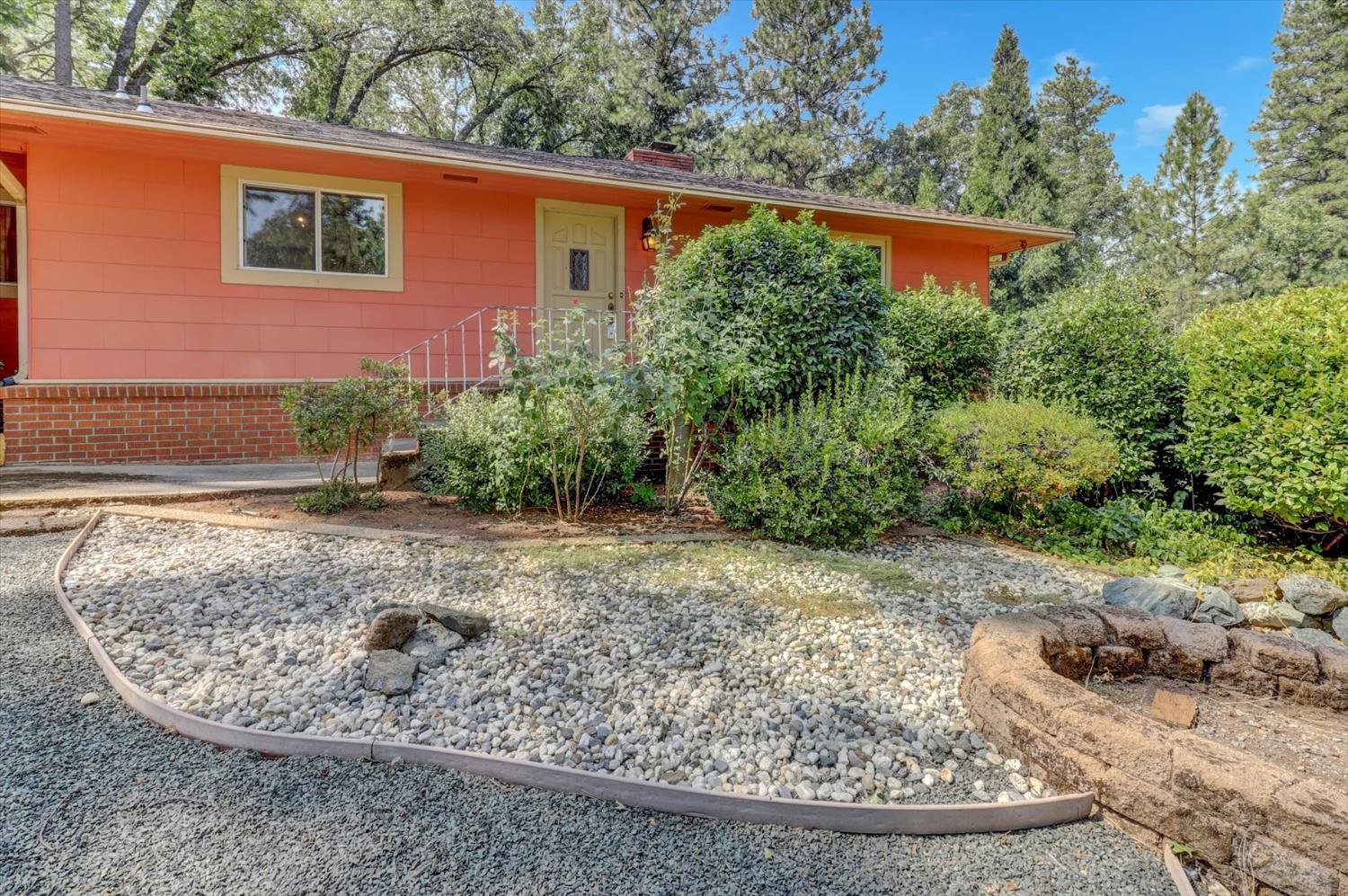 10124 South Ponderosa Way Rough and Ready, CA 95975 - Photo 32 of 63 a view of a backyard with plants and large tree