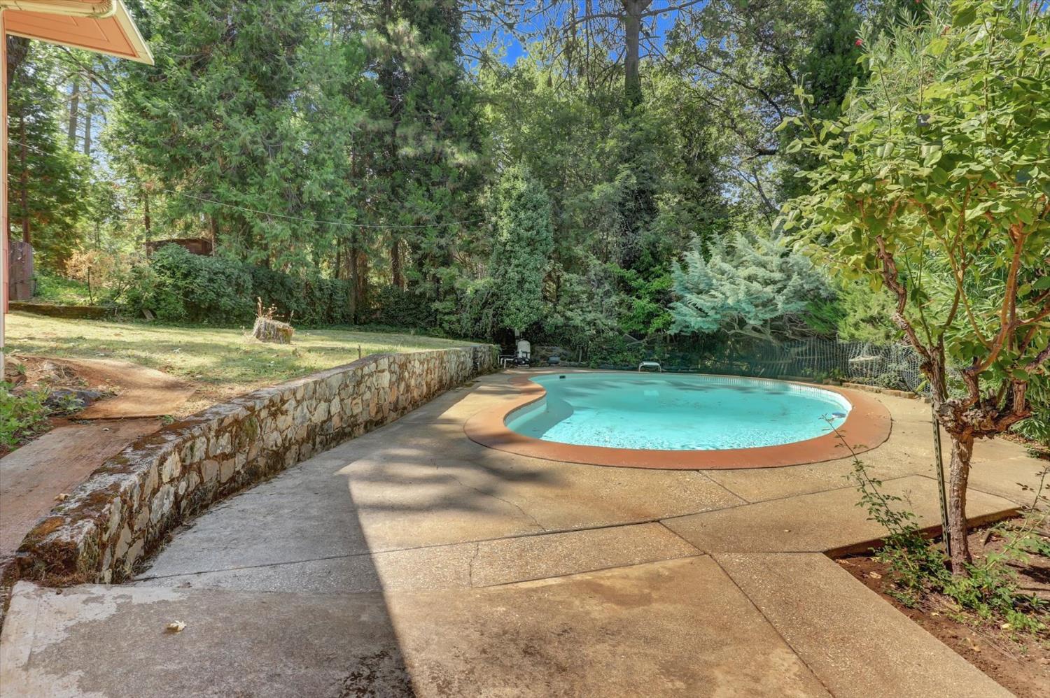 10124 South Ponderosa Way Rough and Ready, CA 95975 - Photo 38 of 63 a view of a swimming pool with a yard