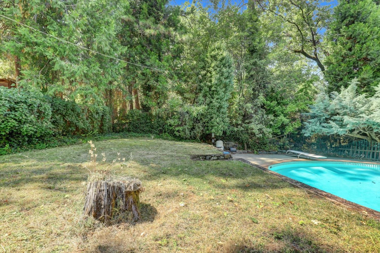 10124 South Ponderosa Way Rough and Ready, CA 95975 - Photo 41 of 63 a view of a yard with a tree