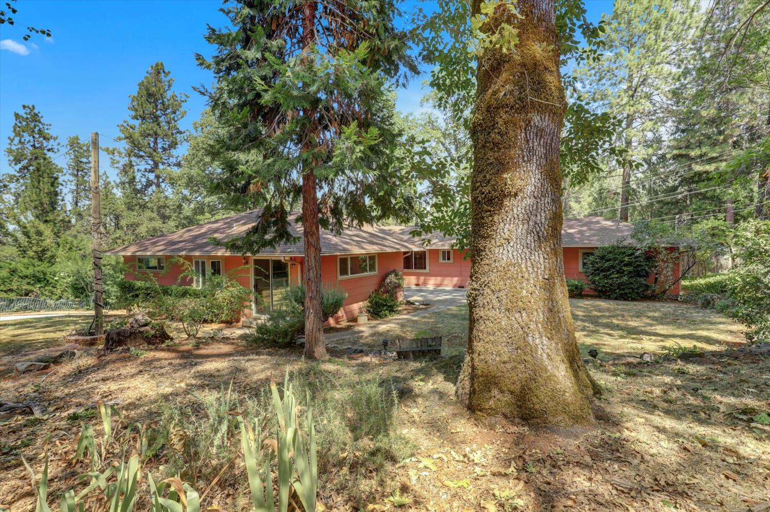 10124 South Ponderosa Way Rough and Ready, CA 95975 - Photo 44 of 63 a front view of a house with a yard