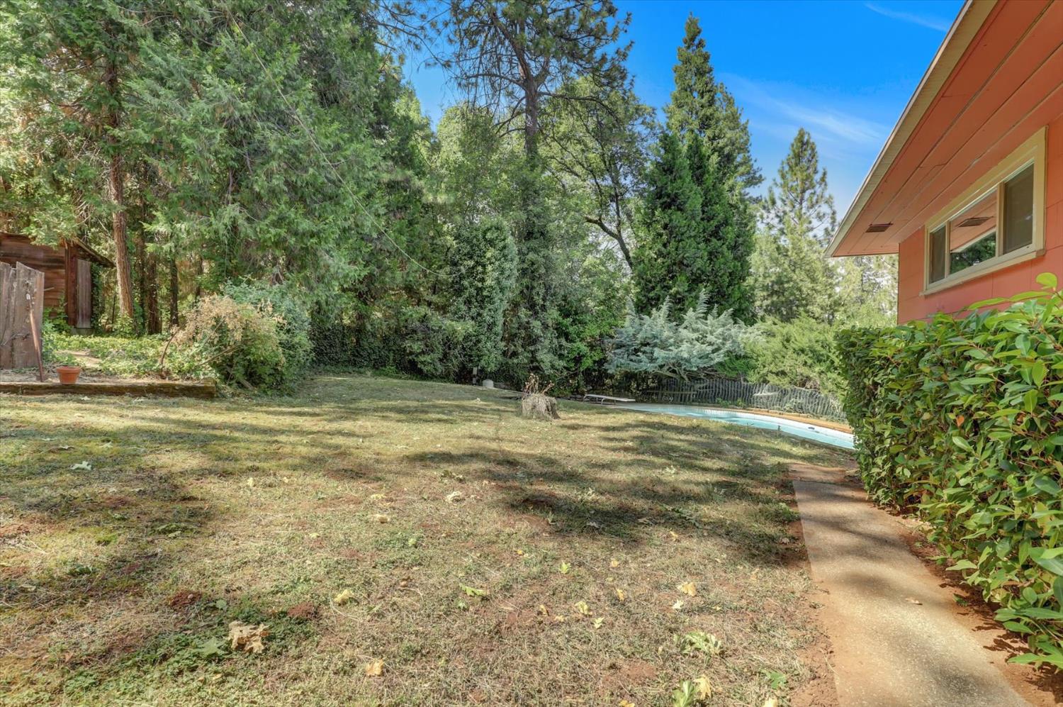 10124 South Ponderosa Way Rough and Ready, CA 95975 - Photo 48 of 63 a view of outdoor space with trees