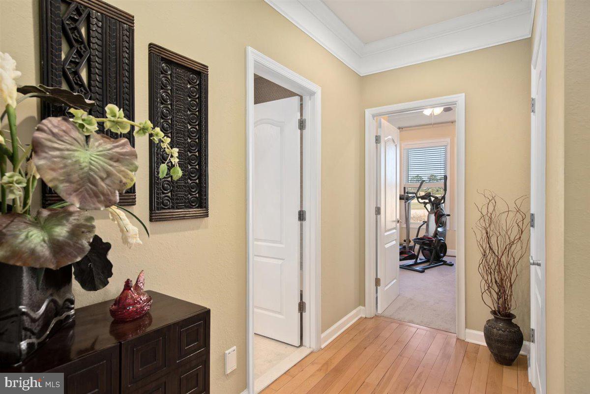 10206 Ruffian Lane Berlin, MD 21811 - Photo 48 of 90 Gallery Image 48