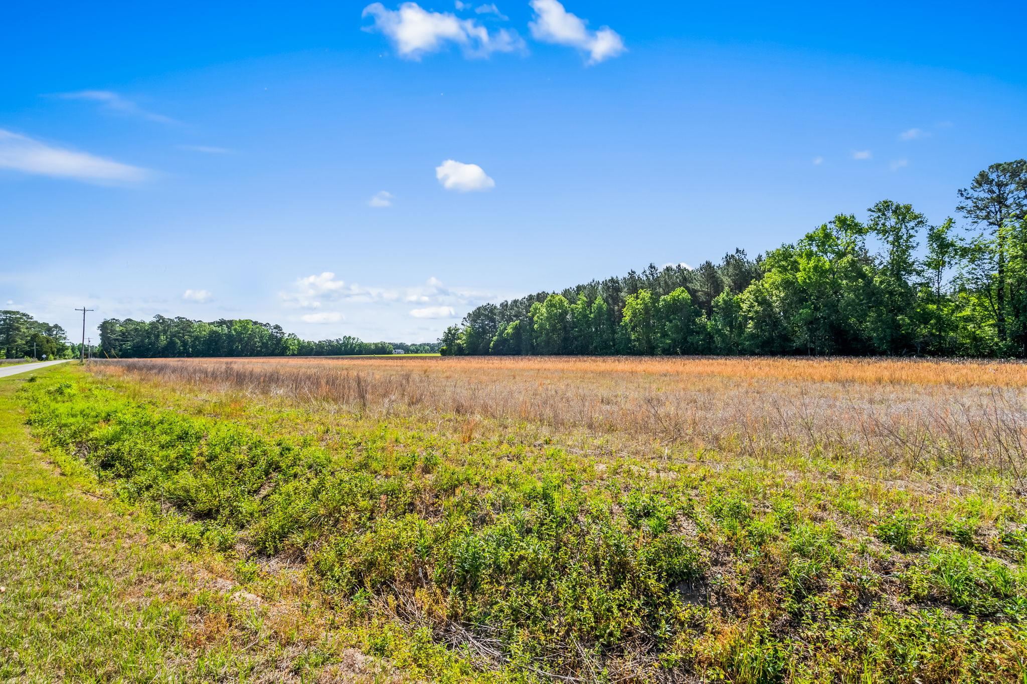 Tbd Ray Road Hemingway, SC 29554 - Photo 17 of 24