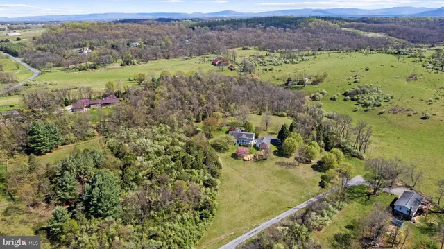 a view of a garden with a mountain