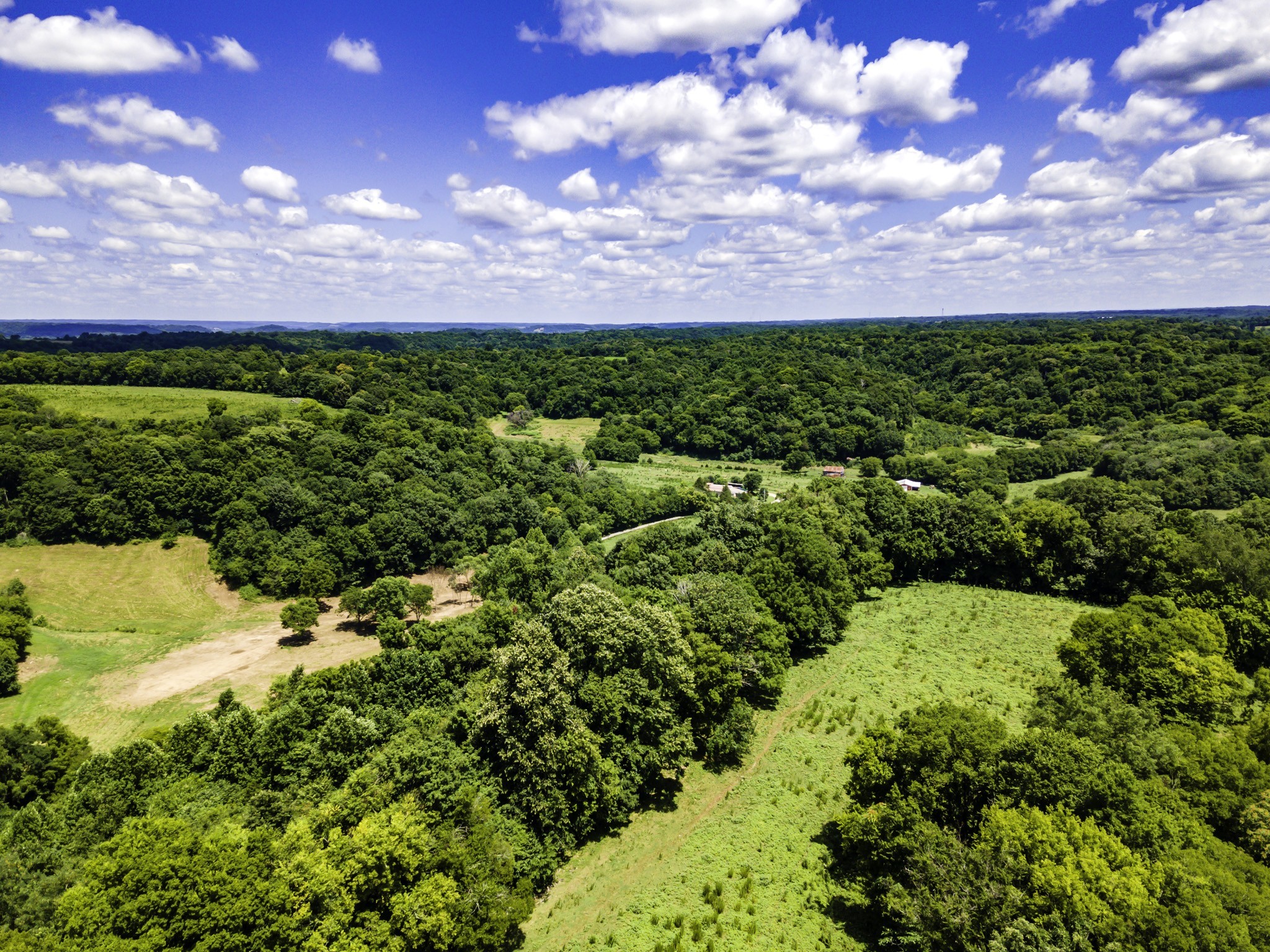 600 Griggs Road Pulaski, TN 38478 - Photo 6 of 22 Gallery Image 6