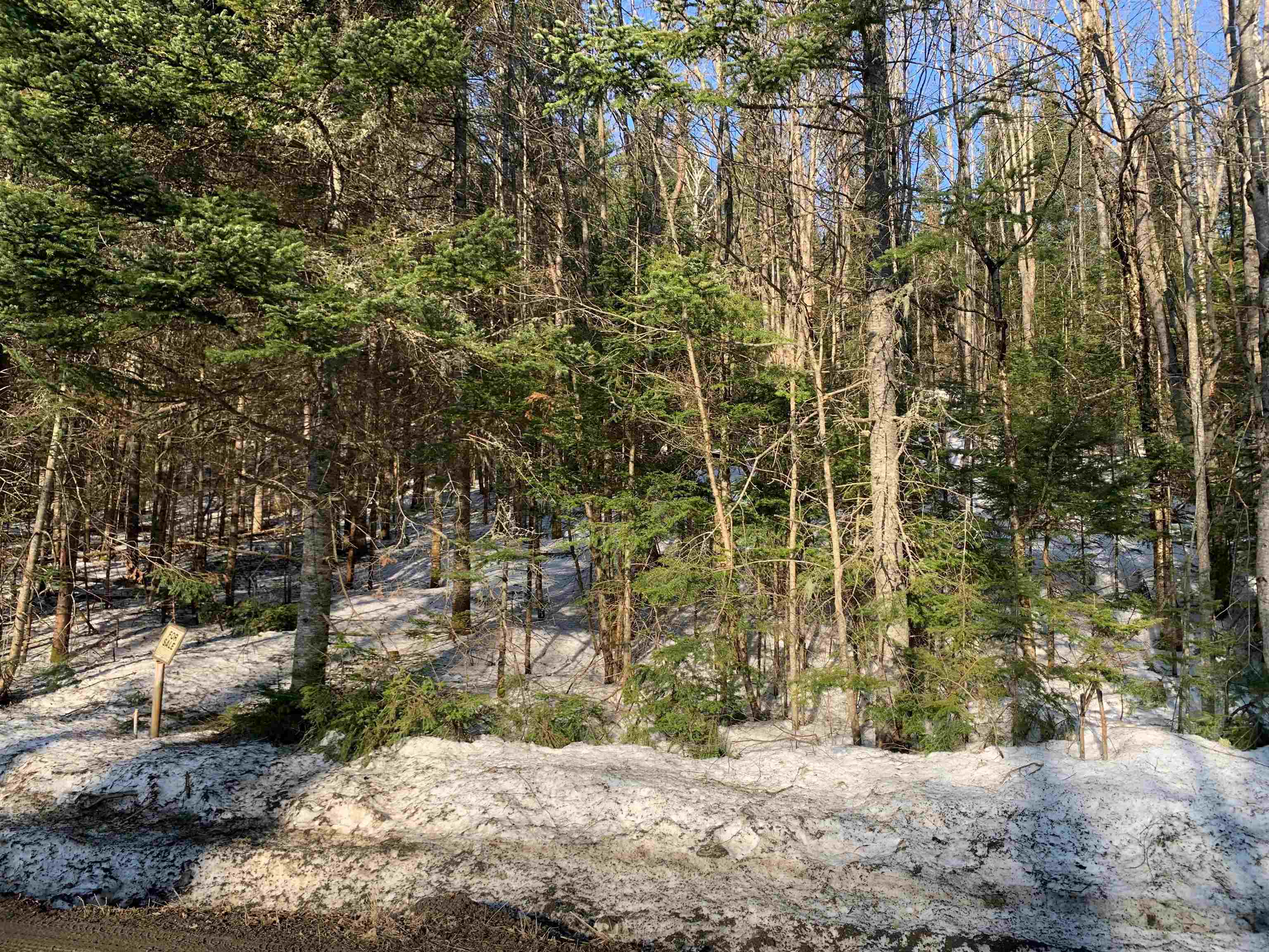 0 Varney Road Pittsburg, NH 03592 - Photo 2 of 4