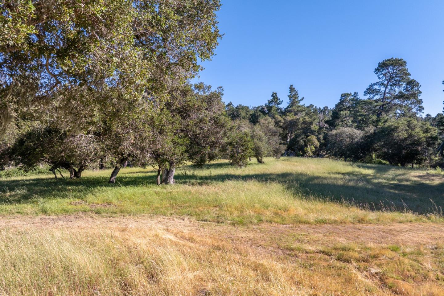 5155 Carmel Valley Road Carmel, CA 93923 - Photo 44 of 48