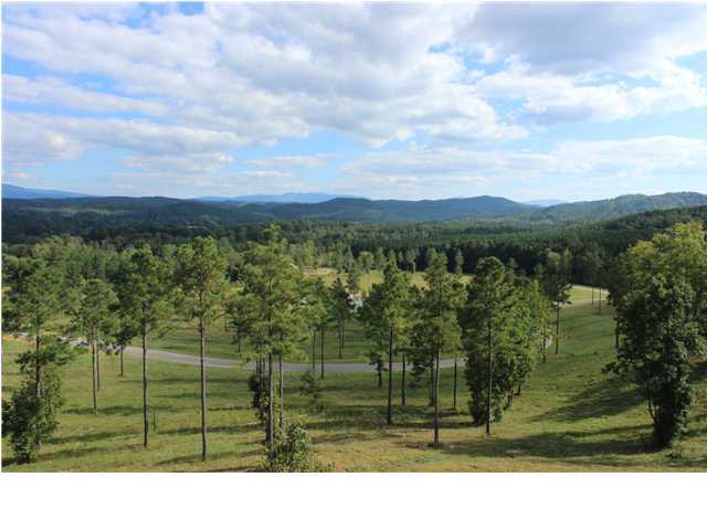200 Bob White Road Ocoee, TN 37361 - Photo 3 of 34 Additional Photo