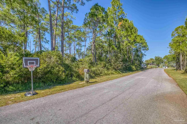 a view of a yard with large trees