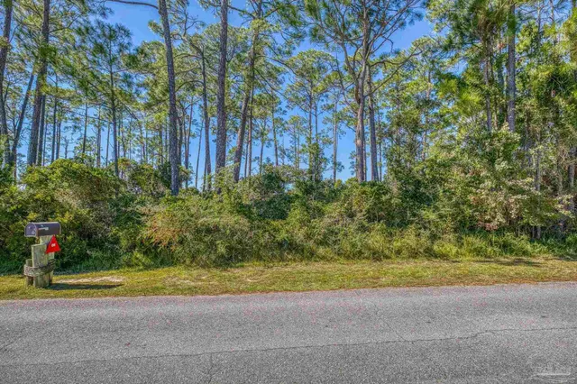 a view of a yard with palm trees