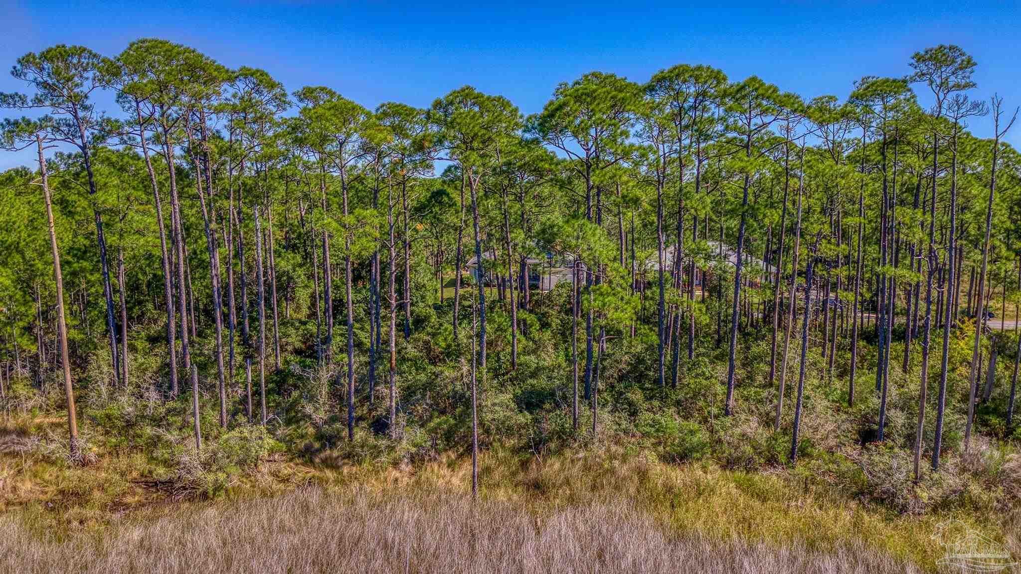5426 North Shore Road Pensacola, FL 32507 - Photo 50 of 53 a view of a tree