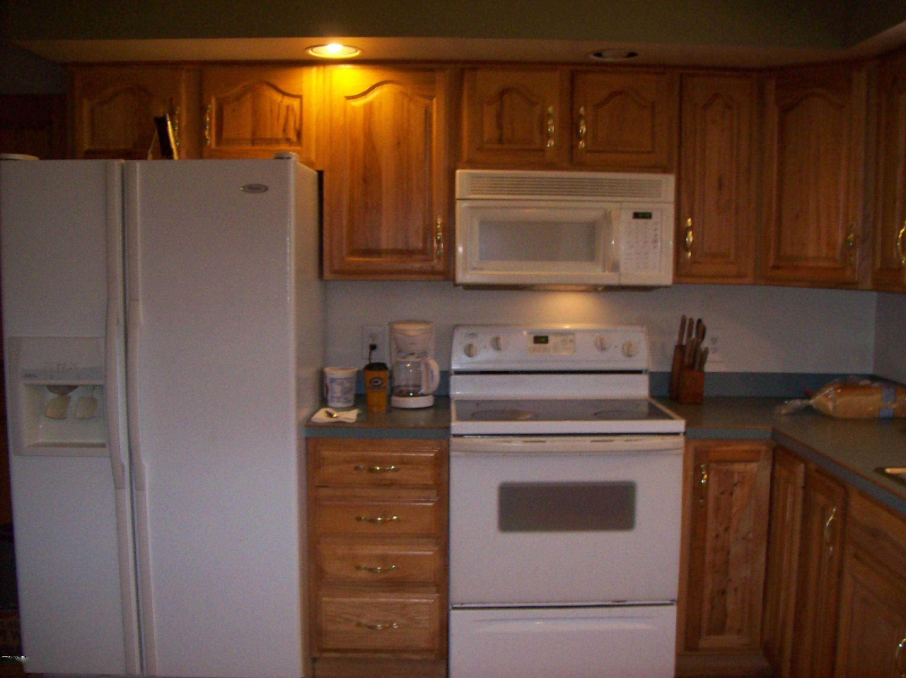 261 South Stevenson Road Sheridan, MI 48884 - Photo 2 of 9 100_2669.JPG