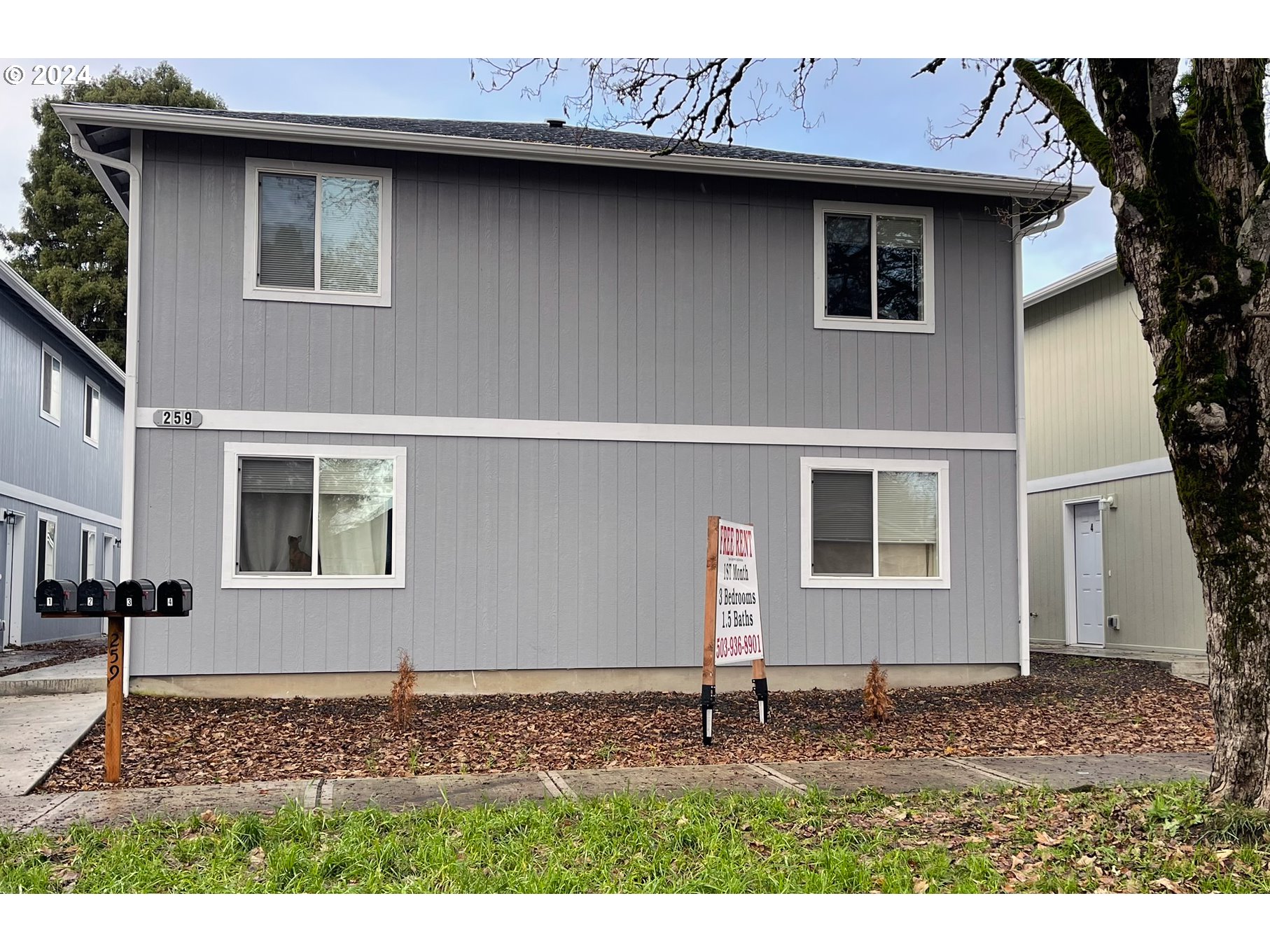259 20th Avenue Longview, WA 98632 - Photo 2 of 15