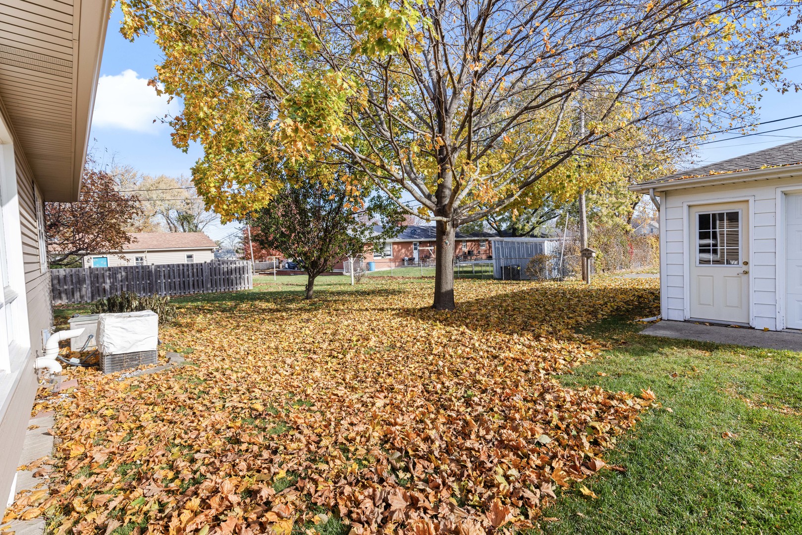 539 Riley Drive Marengo, IL 60152 - Photo 15 of 17 a view of a yard with plants and trees
