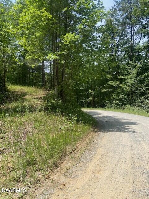 2225 Chilhowee Loop Walland, TN 37886 - Photo 2 of 4 saddle 4