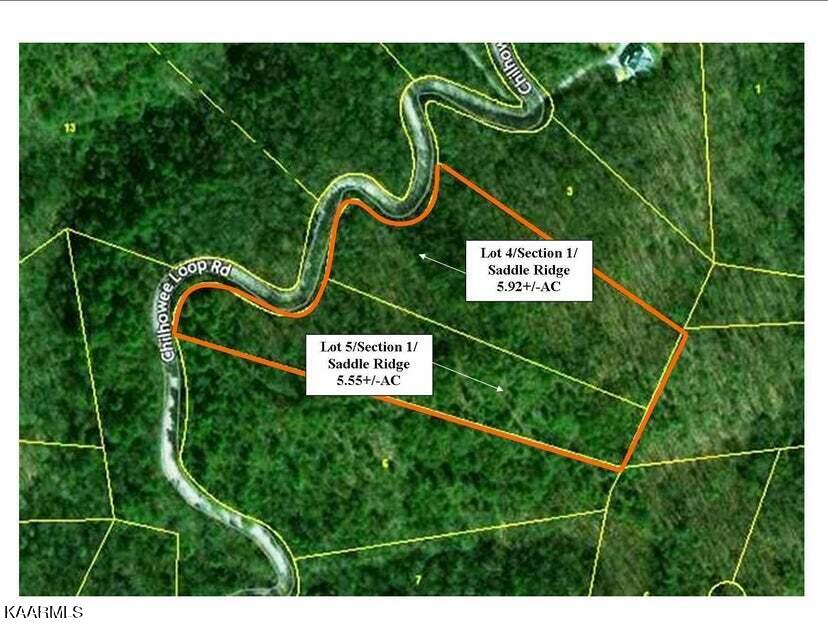 2225 Chilhowee Loop Walland, TN 37886 - Photo 3 of 4 saddle 1