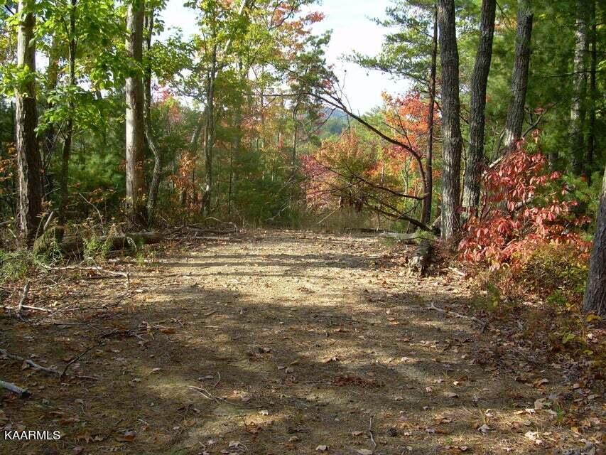 2225 Chilhowee Loop Walland, TN 37886 - Photo 4 of 4 20181017141652307006000000-o