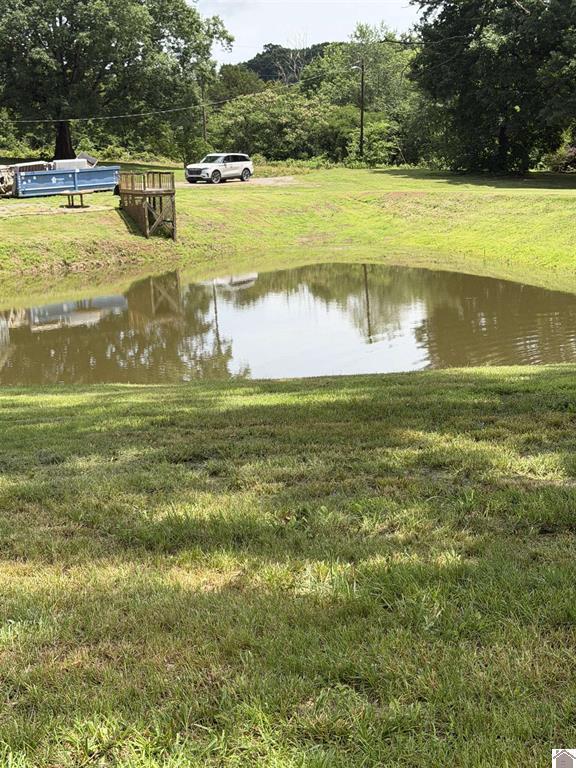 2510 Olive Hamlet Road Benton, KY 42025 - Photo 10 of 30 22