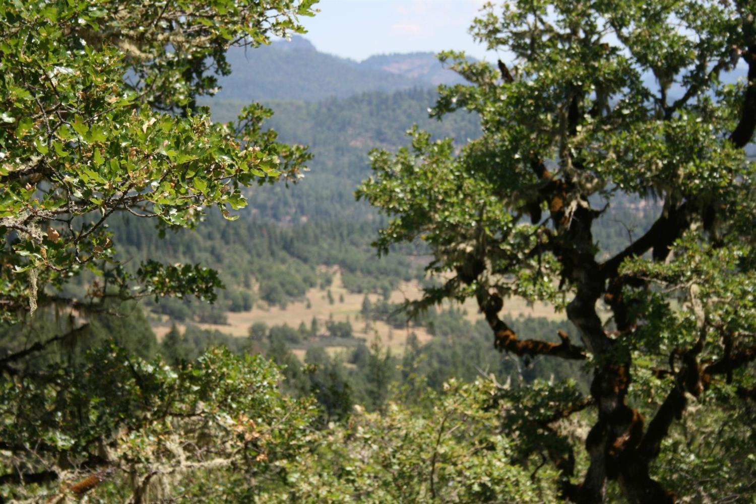 0 Citadel Road Trail, OR 97541 - Photo 8 of 11 Additional Photo