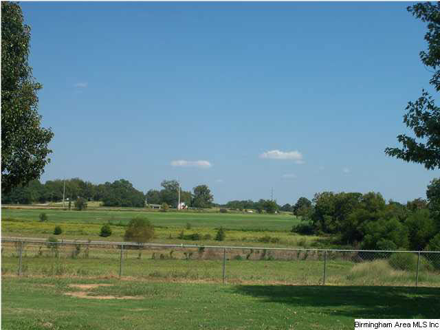 320 Baggett Road Thorsby, AL 35171 - Photo 26 of 26