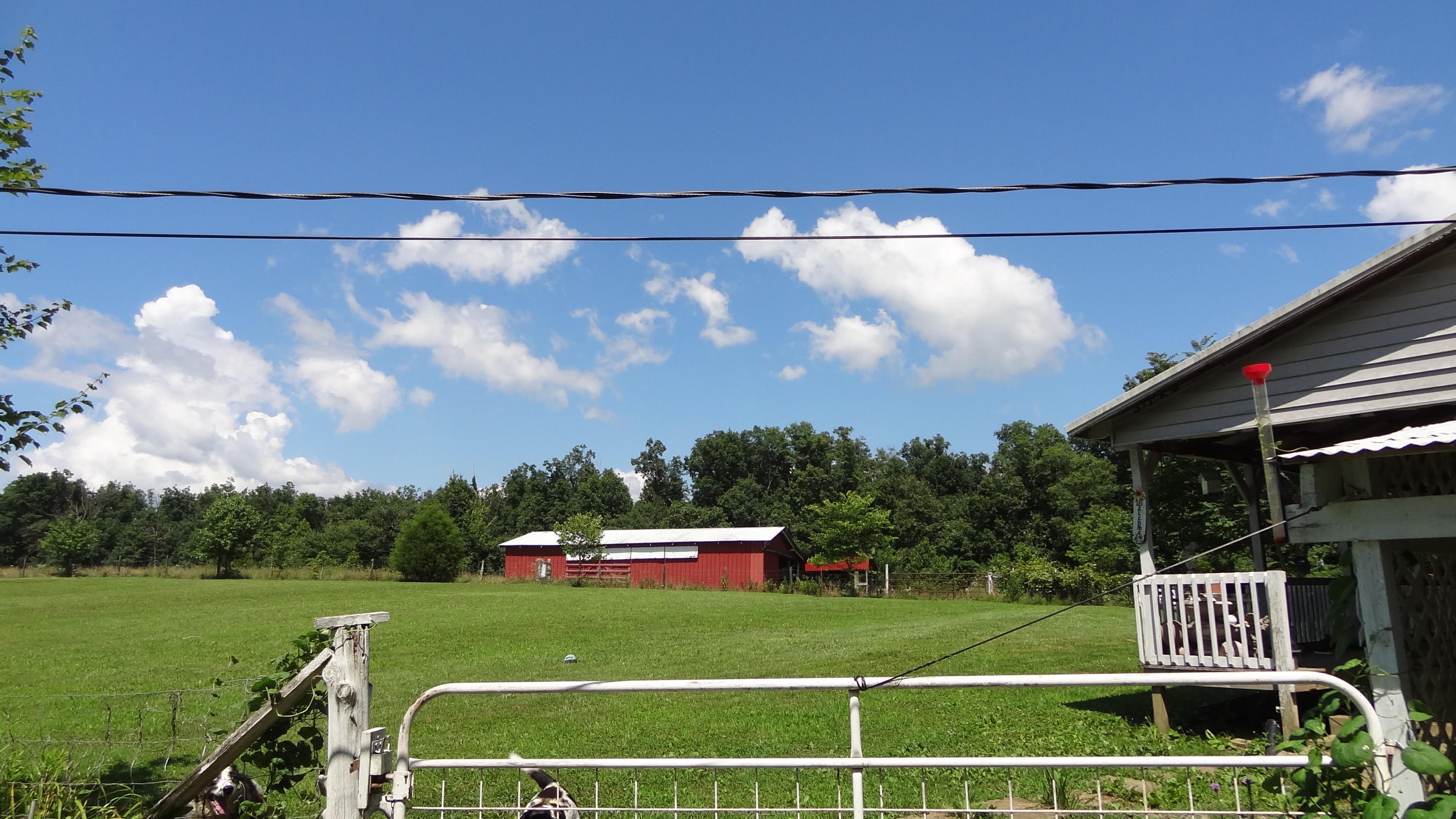 108-109 Waylon Road Crossville, TN 38571 - Photo 8 of 12 DSC06905