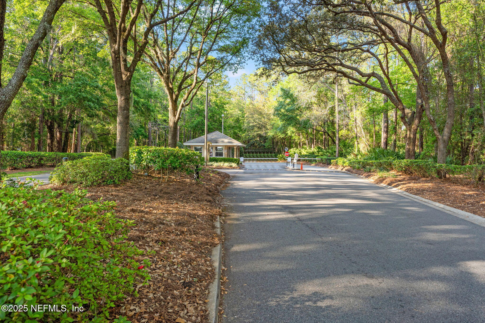3164 Ravines Road Middleburg, FL 32068 - Photo 20 of 25 30-web-or-mls-DSC00348