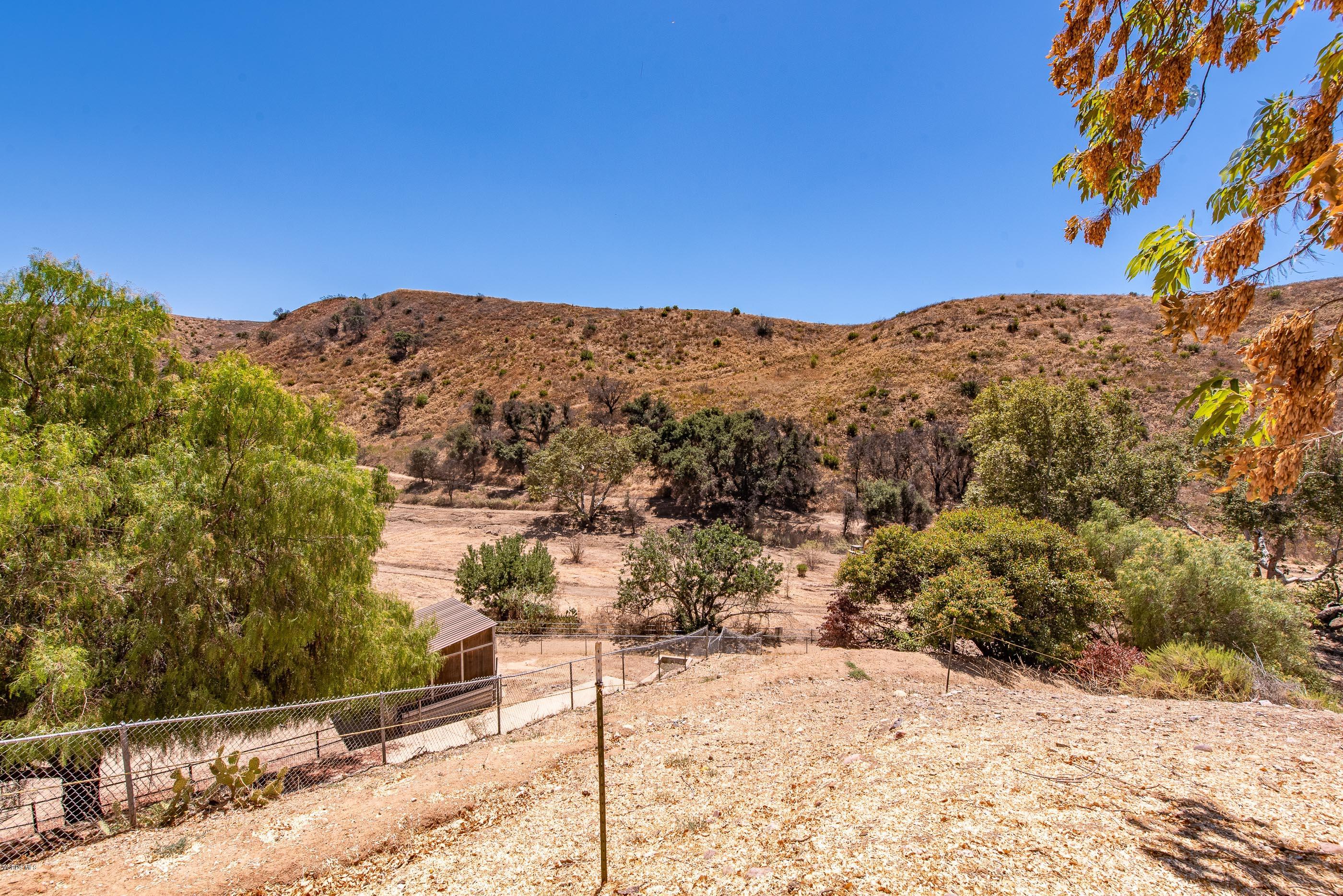 1242 Rambling Road Simi Valley, CA 93065 - Photo 54 of 81 a view of a yard with a tree