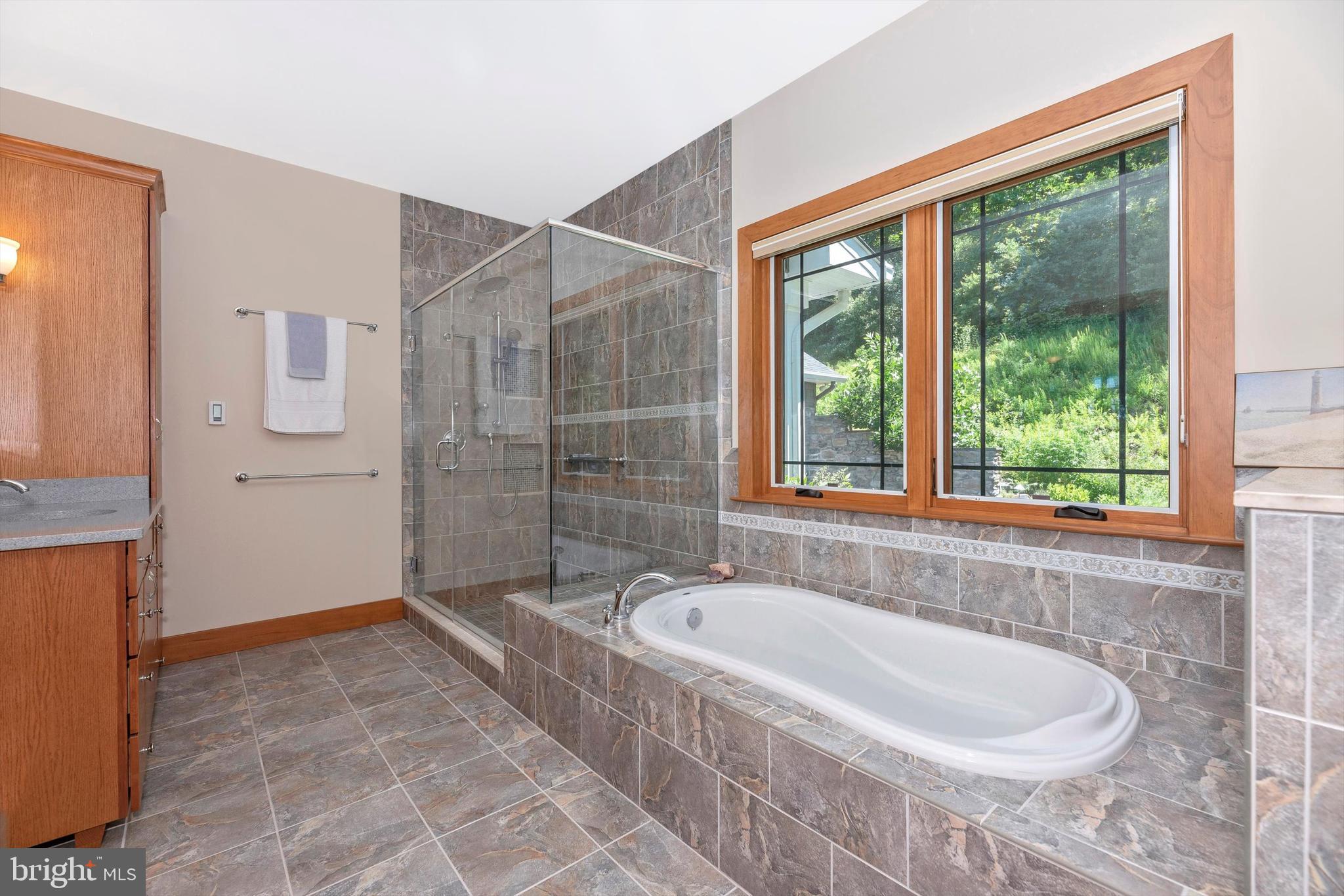 9013 Hawbottom Road Middletown, MD 21769 - Photo 23 of 57 Master Bathroom - Soaking Tub and Glass Shower