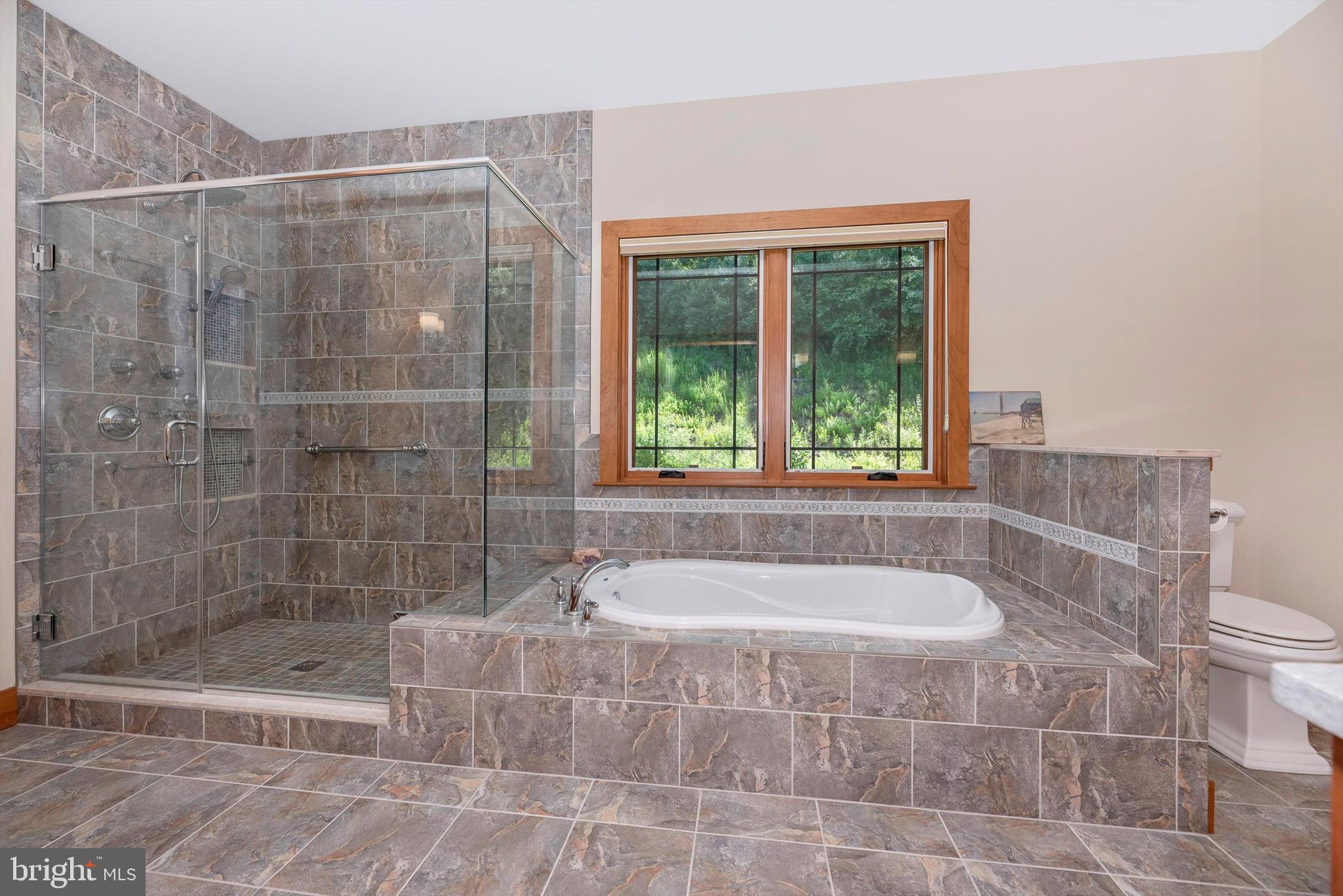 9013 Hawbottom Road Middletown, MD 21769 - Photo 24 of 57 Master Bathroom - Soaking Tub and Glass Shower