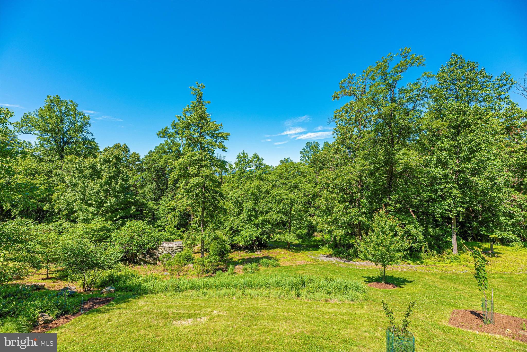 9013 Hawbottom Road Middletown, MD 21769 - Photo 46 of 57 So Incredibly Peaceful