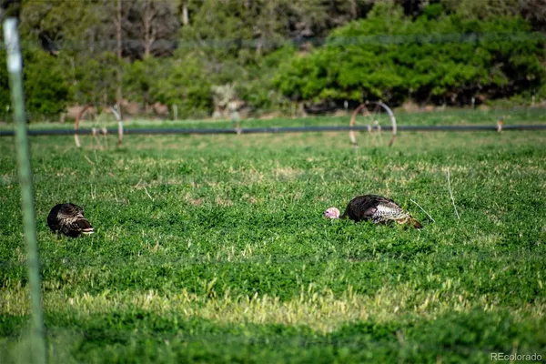 $8,845,000 | Undisclosed Address, Paradox, CO 81429