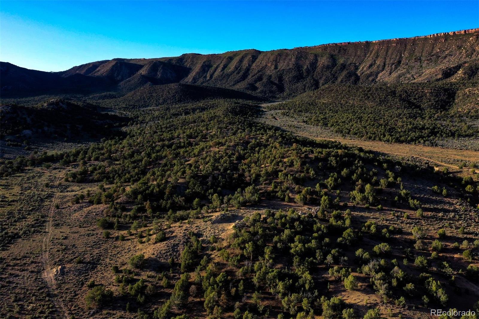 Undisclosed Address Paradox, CO 81429 - Photo 3 of 50 a view of a outdoor area with green field