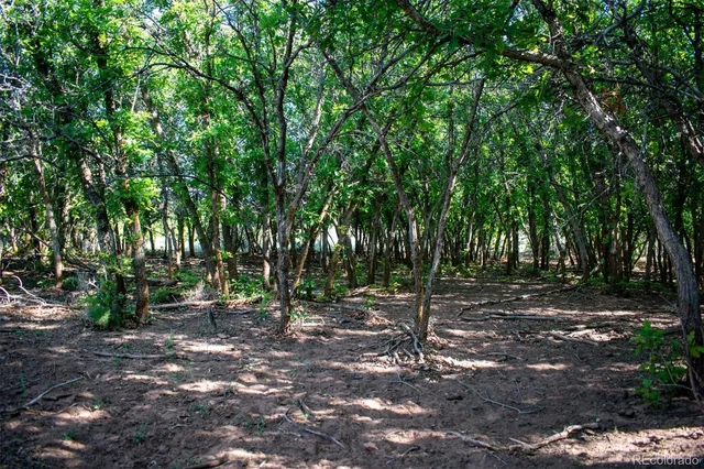 $8,845,000 | Undisclosed Address, Paradox, CO 81429